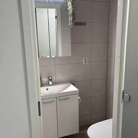Cozy Arctic רובניימי